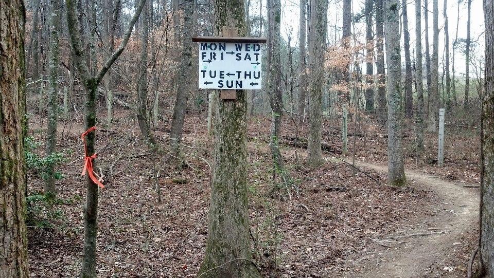 Signpost in a wooded area indicating trail usage days, with directions for each day of the week. Orange ribbon tied to a nearby tree. Charleston Park mountain bike trail.