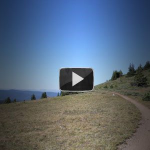 A scenic outdoor landscape featuring a wide, open grassy area with a winding dirt path. The sky is clear and blue, and there are distant mountains and patches of trees visible in the background. A play button overlay indicates that the image is linked to a video.
