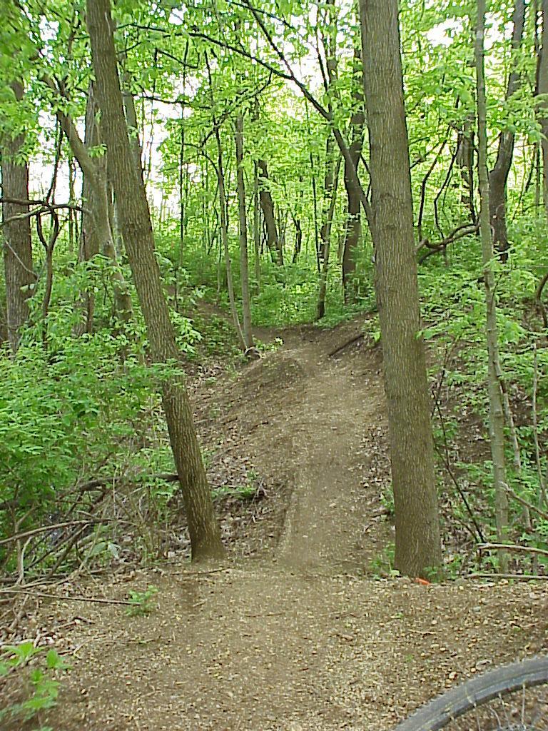 A winding dirt path through a lush green forest, lined with tall trees and dense foliage. The path leads into the distance, inviting exploration in a serene, natural setting. Rangeline Nature Preserve mountain bike trail.