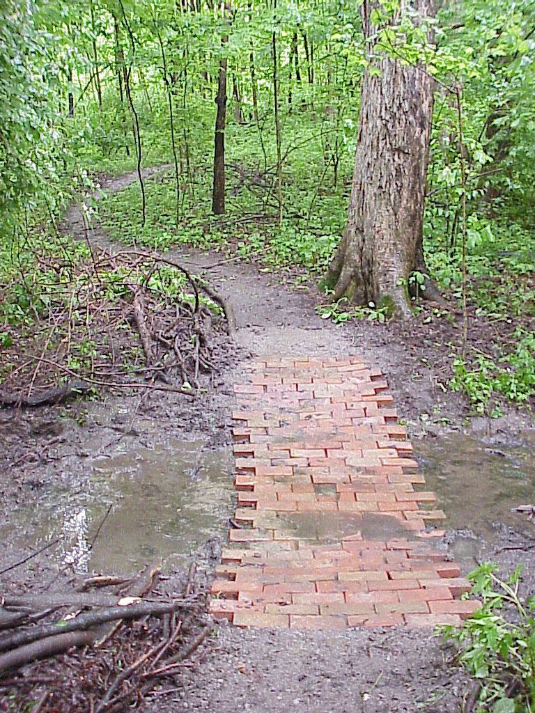 A narrow, muddy pathway through a lush green forest, featuring a small brick bridge crossing over a puddle. Surrounding vegetation includes trees and shrubs, creating a natural, tranquil environment. Rangeline Nature Preserve mountain bike trail.