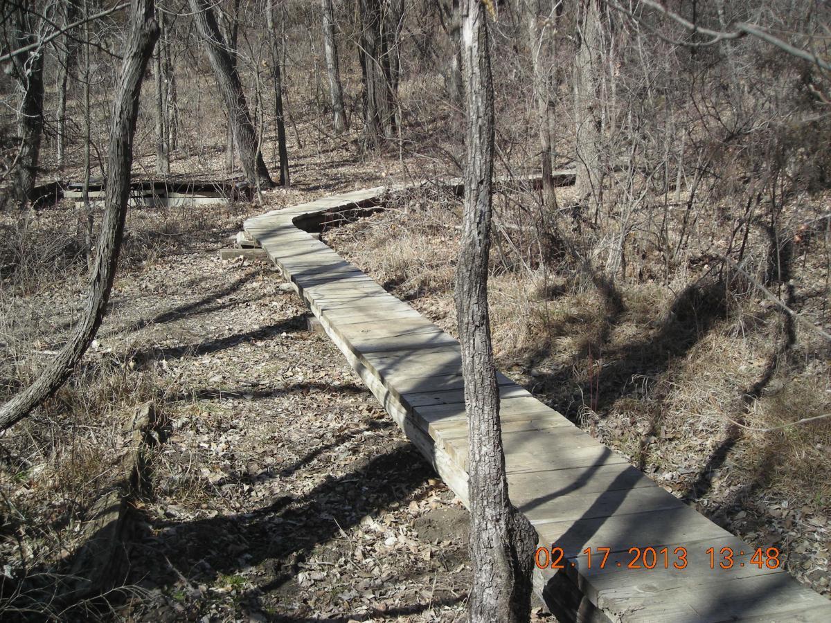 A winding wooden boardwalk partially covered in leaves, surrounded by bare trees and brown underbrush, providing access through a wooded area. The image captures a serene natural setting during the winter season. Camp Alexander Trails mountain bike trail.