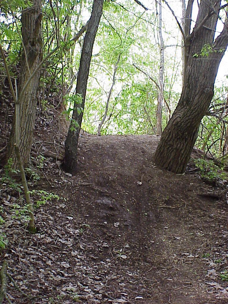 A narrow dirt path leading uphill, flanked by trees with vibrant green leaves. The ground is uneven, covered in brown soil and scattered leaves, creating a natural, wooded setting. Rangeline Nature Preserve mountain bike trail.