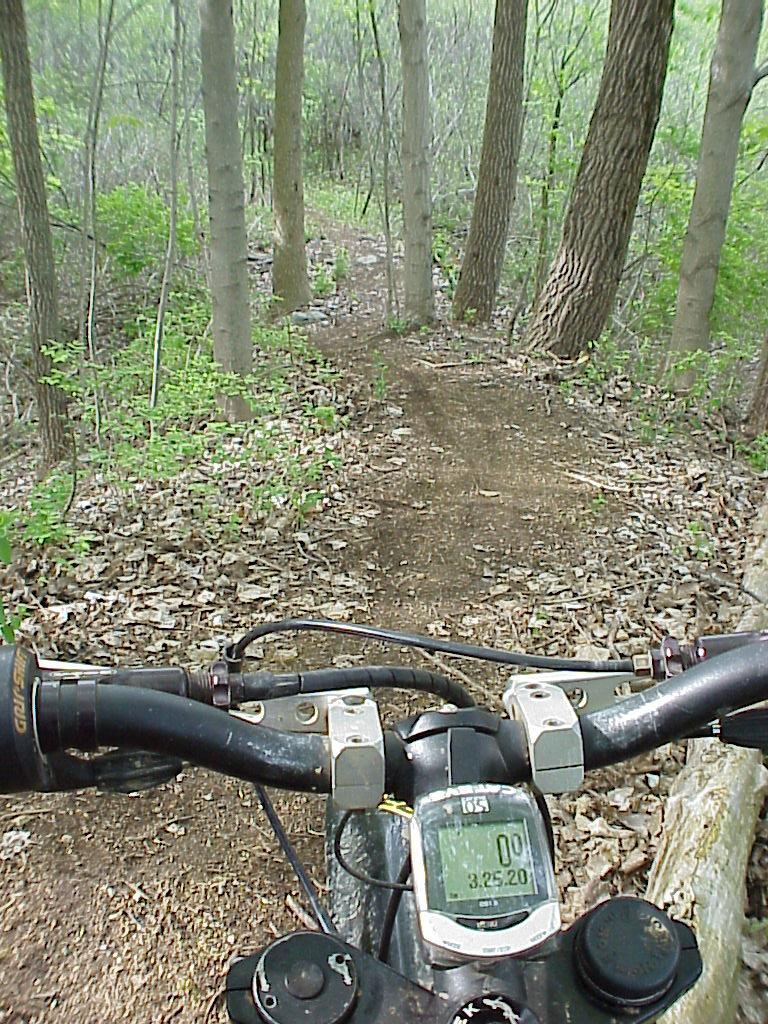 Alt text: A mountain bike's handlebars and digital display are visible in the foreground, showing a trip distance of 0 miles and a time of 3:25:20. The background features a narrow dirt trail winding through a forest with tall trees and green foliage. Rangeline Nature Preserve mountain bike trail.