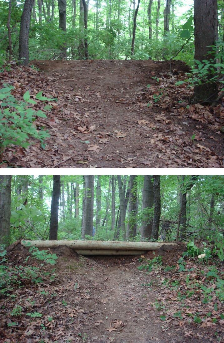 An earthen pathway leading through a wooded area, featuring a small wooden bridge crossing over the trail. The forest is lush with green foliage, and fallen leaves cover the ground. The image is split into two sections, with the top showing the trail's incline and the bottom showcasing the wooden bridge. Rangeline Nature Preserve mountain bike trail.