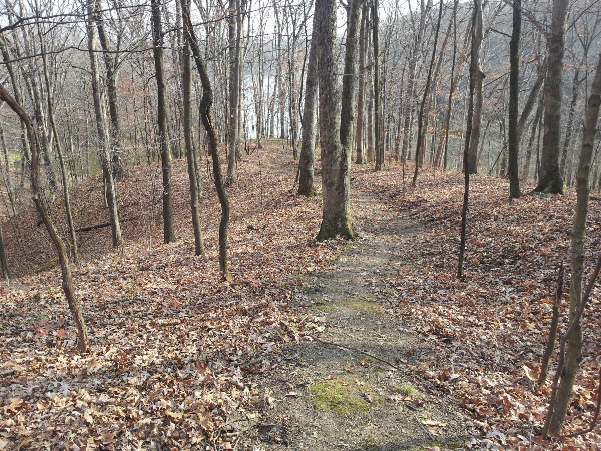A winding dirt path through a wooded area in late autumn, surrounded by bare trees and a carpet of orange and brown fallen leaves. In the background, a body of water can be seen peeking through the trees. The scene conveys a peaceful, natural setting. Lake View Park Trails mountain bike trail.
