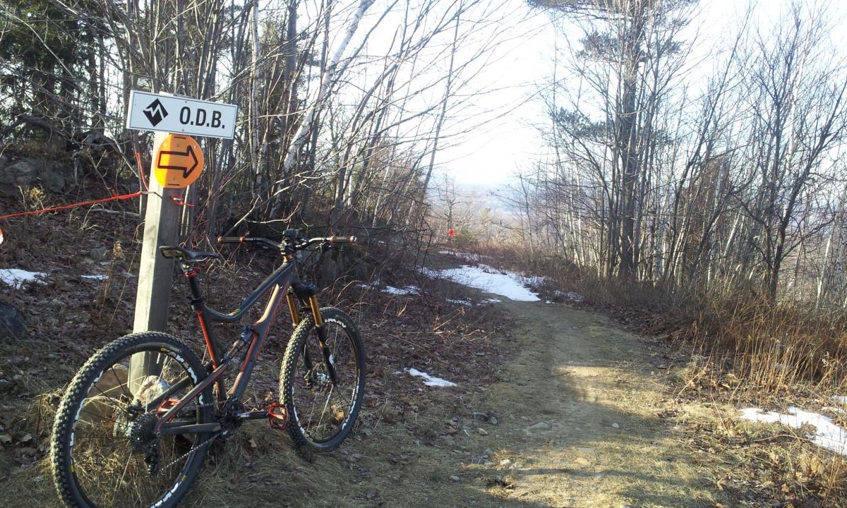 Santa Cruz TallBoyLTc: A mountain bike resting on a trail beside a sign indicating the O.D.B. trail. In the background, a dirt path winds through a forested area with sparse trees and patches of snow.