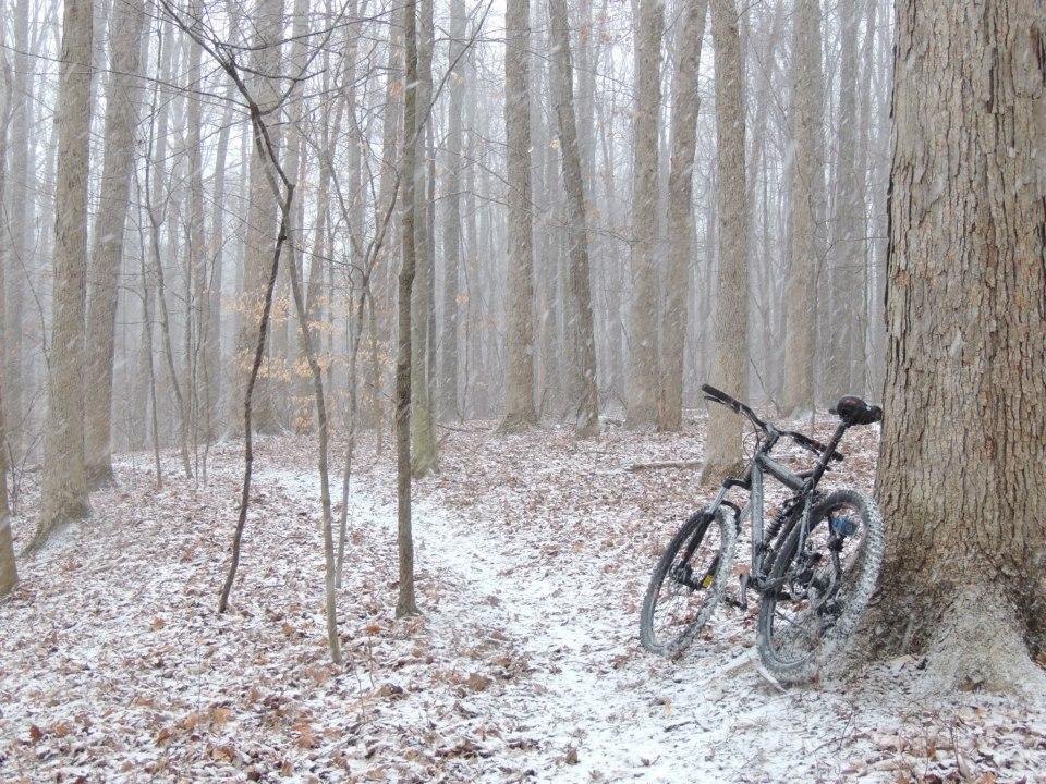 A mountain bike leaning against a tree in a snowy forest, surrounded by bare trees and a dusting of snow on the ground, creating a quiet and peaceful winter scene. Royalview mountain bike trail.