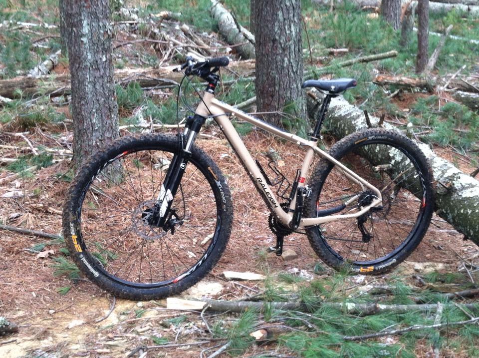 Raleigh Talus: A mountain bike leaning against a tree in a forested area, with pine needles and fallen branches scattered around. The bike features a light tan frame, thick tires, and a front suspension fork, indicating it's designed for off-road trails.