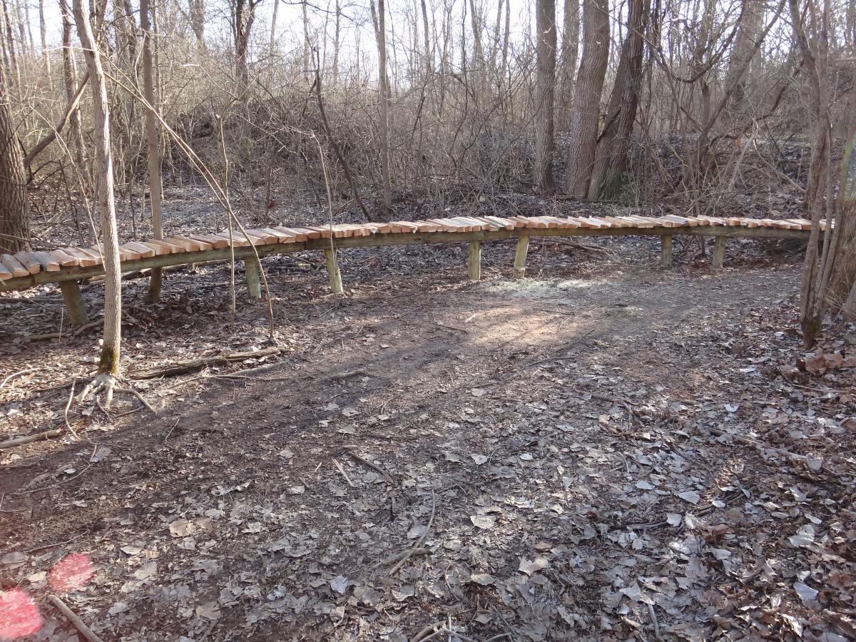 A wooden walkway curving through a muddy forest trail, surrounded by leafless trees and scattered leaves on the ground. Rangeline Nature Preserve mountain bike trail.
