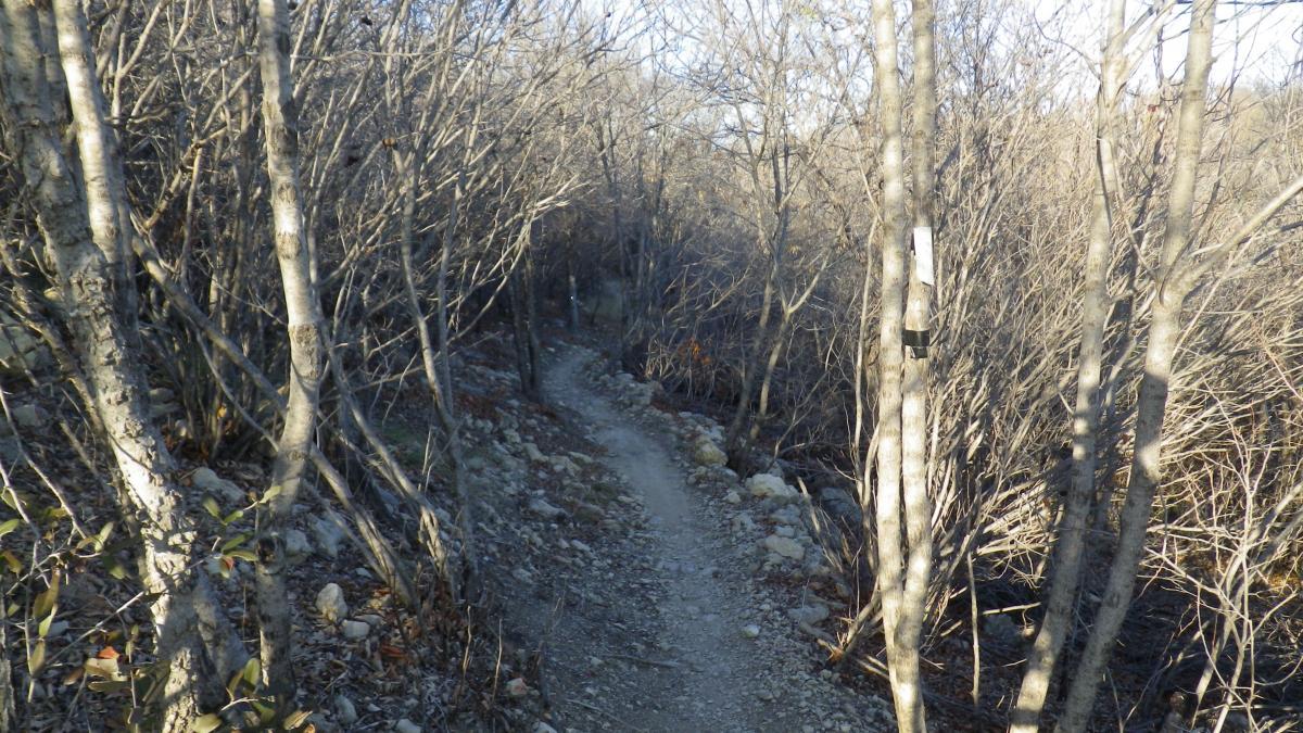 A narrow, winding dirt trail meanders through a wooded area with bare trees and rocky terrain, suggesting a natural landscape during late autumn or winter. Sansom Park mountain bike trail.