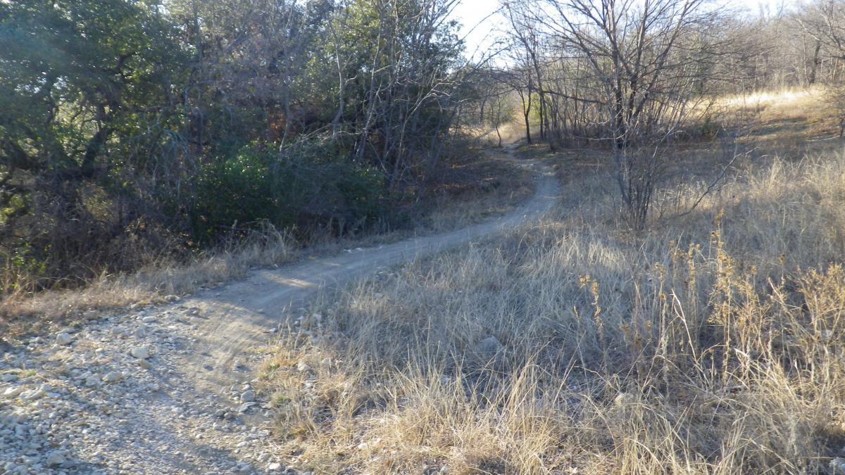A narrow, winding dirt path meandering through a field of dry grass and sparse trees, with sunlight filtering through the foliage, creating a serene outdoor atmosphere. Sansom Park mountain bike trail.