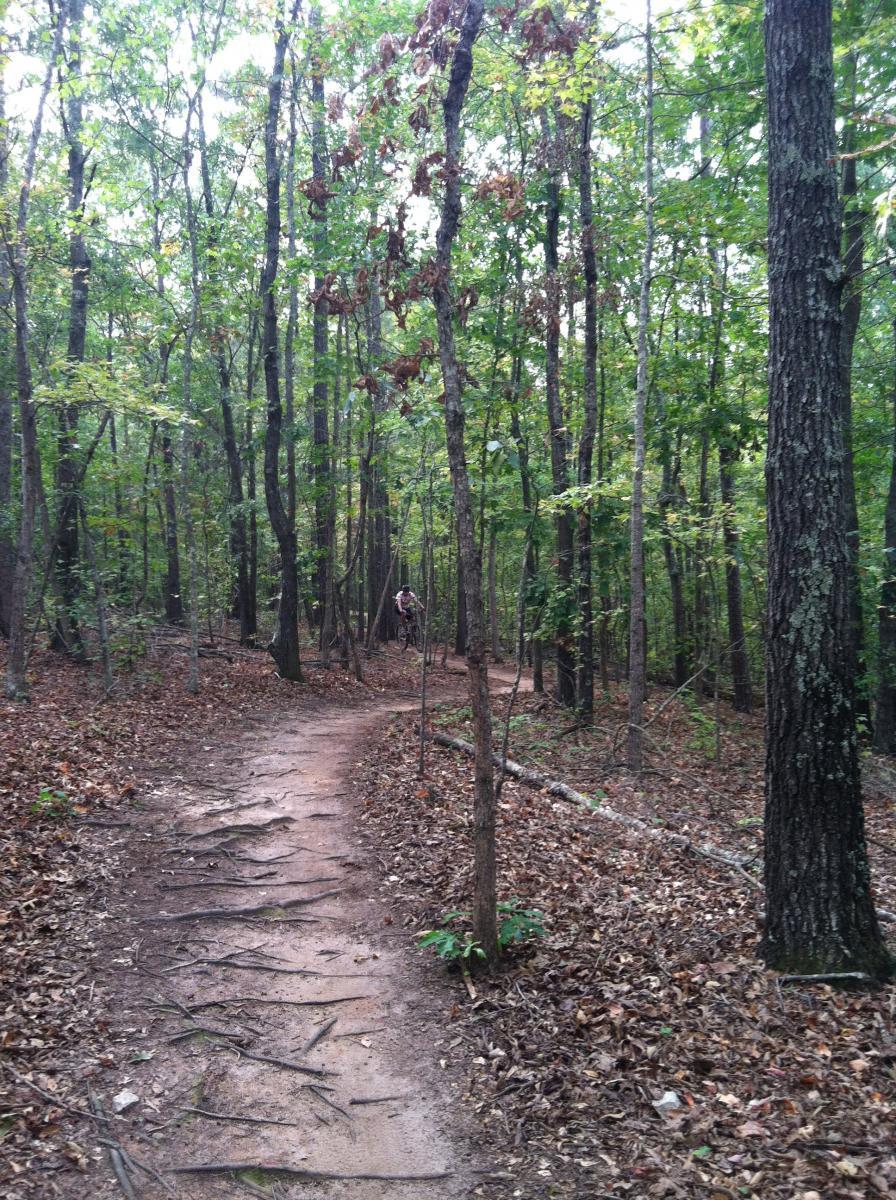 A winding dirt path through a dense wooded area, surrounded by tall trees and scattered fallen leaves. The trail shows signs of use, with visible roots and a natural, earthy texture. A person riding a bicycle can be seen in the distance, adding a sense of activity to the tranquil forest scene. Heritage Park mountain bike trail.