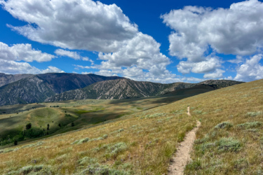 A scenic landscape featuring rolling hills and a winding dirt path, surrounded by lush green grass and shrubs. In the background, majestic mountains rise under a bright blue sky adorned with fluffy white clouds. The terrain demonstrates a peaceful natural environment, inviting exploration. CDT: Grizzly Hill North mountain bike trail.