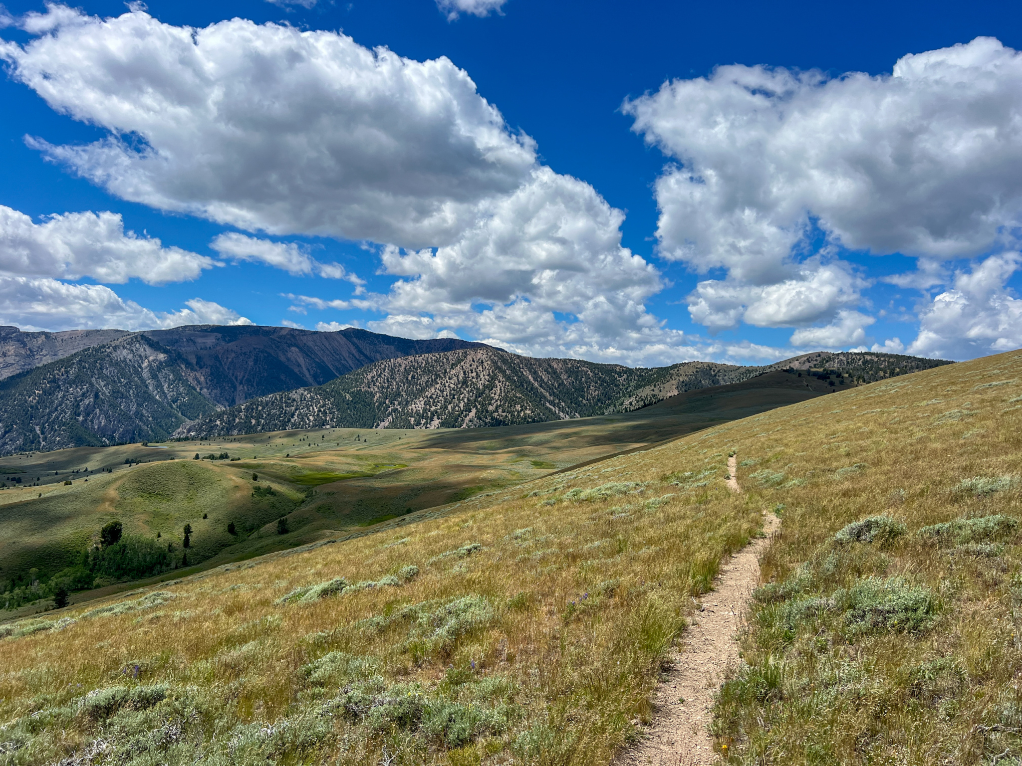 A scenic landscape featuring rolling hills and a winding dirt path, surrounded by lush green grass and shrubs. In the background, majestic mountains rise under a bright blue sky adorned with fluffy white clouds. The terrain demonstrates a peaceful natural environment, inviting exploration. CDT: Grizzly Hill North mountain bike trail.