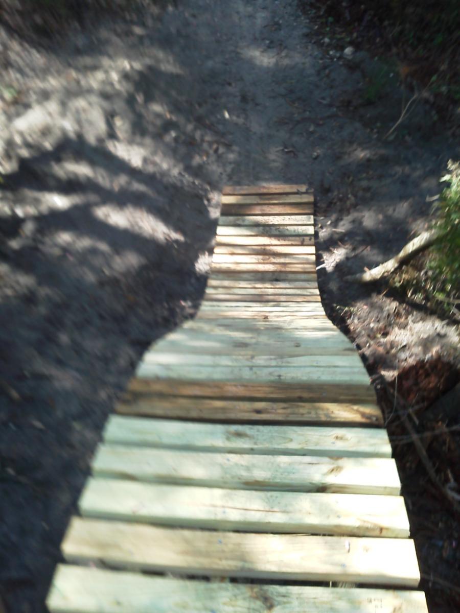 A wooden bridge constructed from planks, leading over a dirt path in a natural setting. The image is slightly blurred, showing the bridge's surface and surrounding foliage. Tillie Fowler Regional Park mountain bike trail.