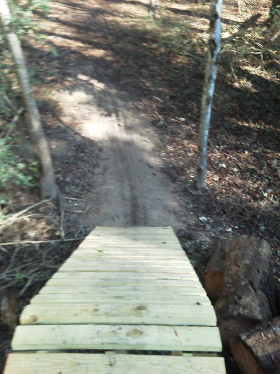 A wooden bridge extending over a dirt path in a forested area, with trees and underbrush visible on either side. The perspective is from the edge of the bridge, looking down toward the pathway. Tillie Fowler Regional Park mountain bike trail.