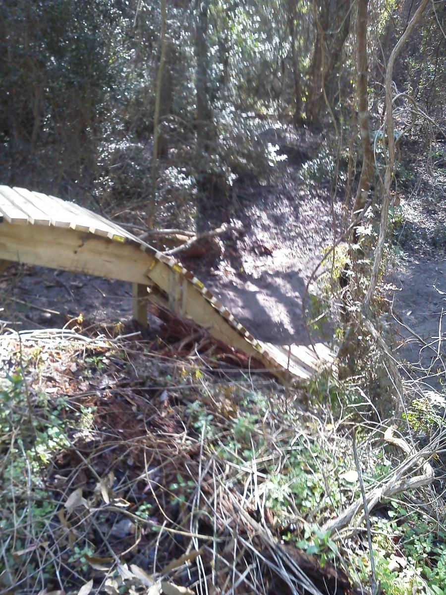 A wooden path or bridge is curving through a wooded area, surrounded by dense vegetation and fallen leaves. Sunlight filters through the trees, illuminating parts of the ground. The path appears slightly elevated, leading into the forest. Tillie Fowler Regional Park mountain bike trail.