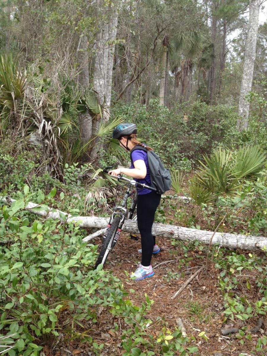 A person wearing a helmet and a backpack inspects their mountain bike while navigating through a forested area, surrounded by trees and dense underbrush. A fallen log lies across the path, and various types of foliage can be seen in the background. Nocatee mountain bike trail.