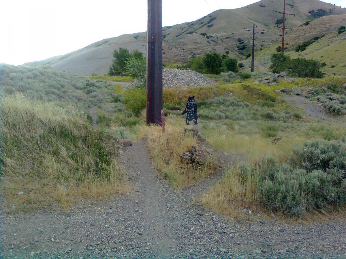 A dirt path splits into two directions at a fork in a rural setting, surrounded by grassy and rocky terrain. A wooden power pole stands nearby, and there is a small figure resembling a silhouette of a dog or wolf perched on a stone at the fork. Hills and shrubs fill the background, creating a tranquil, natural environment. White Rock Loop mountain bike trail.