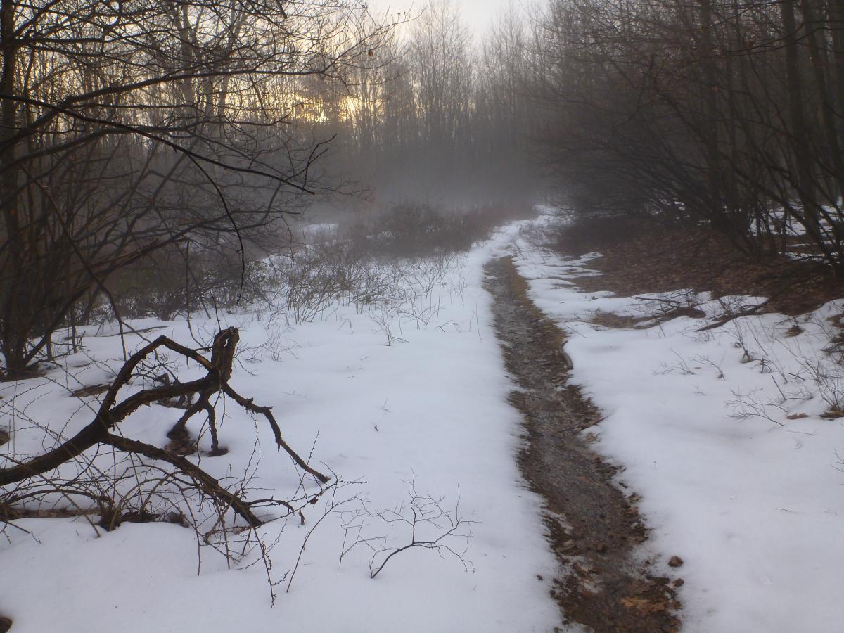 A serene winter landscape featuring a narrow winding path through a snowy area, bordered by bare trees and shrubs. The scene is shrouded in a thin layer of fog, creating a tranquil, mysterious atmosphere as the soft light of dawn breaks in the background. R.b. Winter Mega-loop mountain bike trail.
