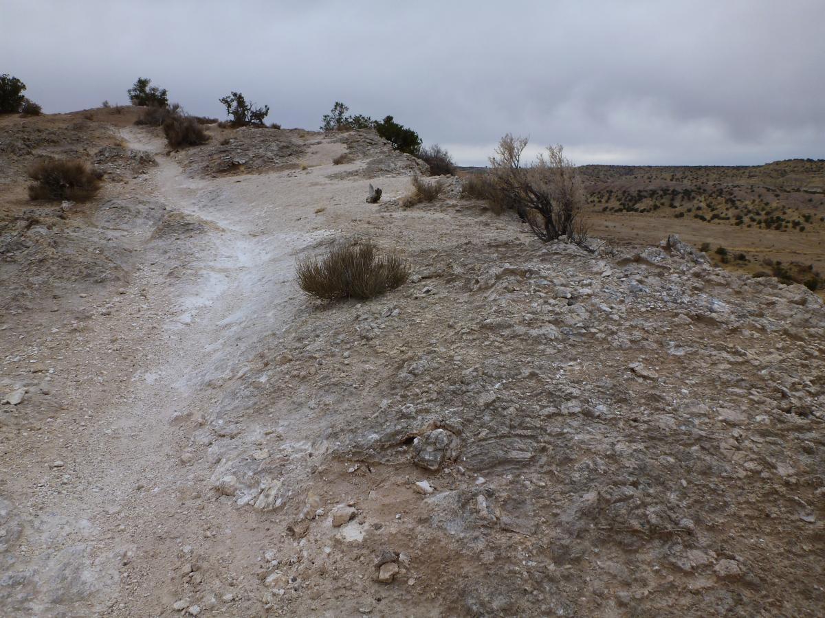 A rugged, natural landscape featuring a winding dirt path on a rocky hill, surrounded by sparse vegetation. The sky is overcast, and the terrain consists of light-colored soil and rocky formations extending into the horizon. White Ridge Bike Trails mountain bike trail.