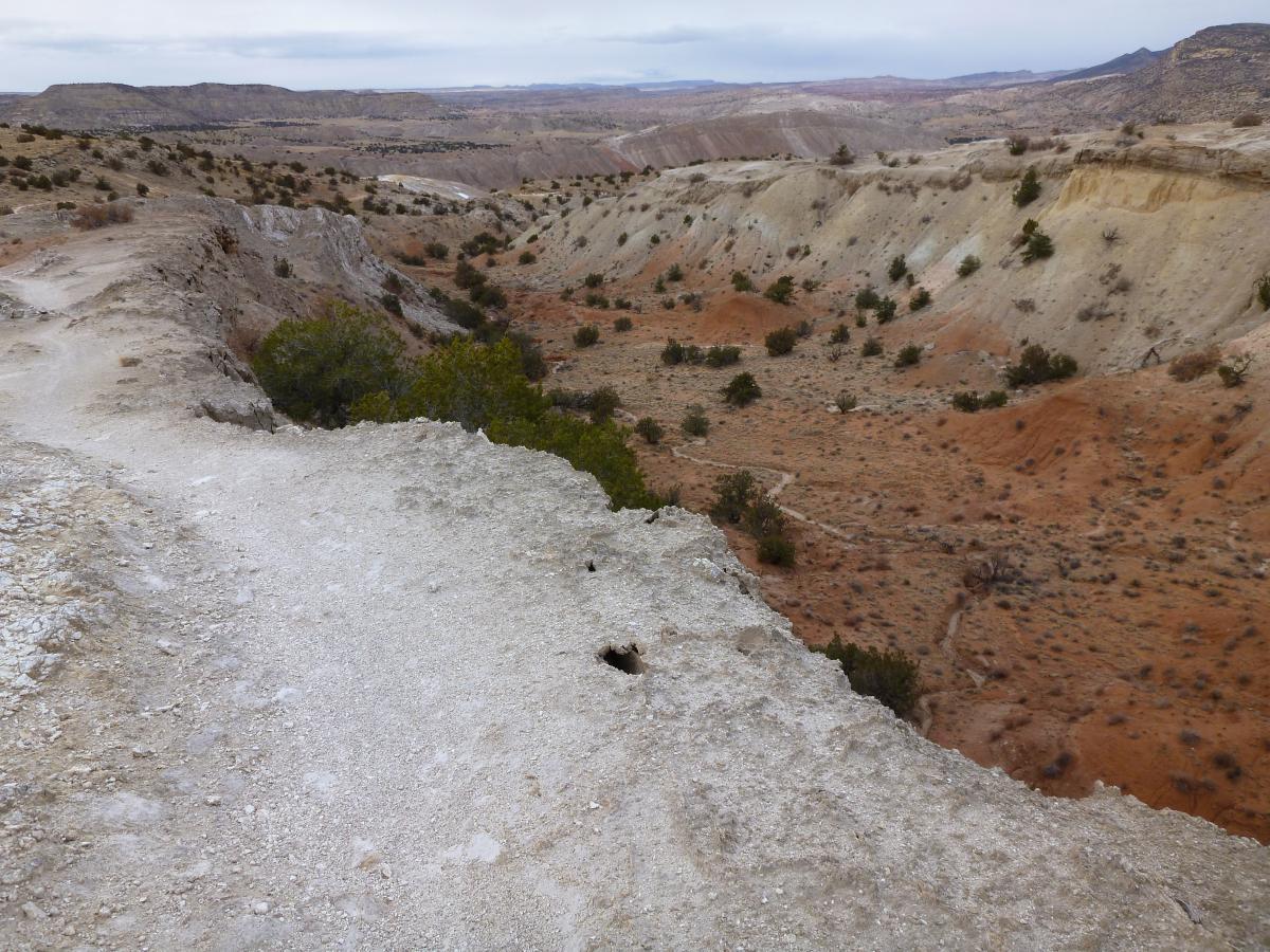 A panoramic view of a dry, rugged canyon landscape featuring layered rock formations, sparse vegetation, and winding trails along the cliff edges under a cloudy sky. White Ridge Bike Trails mountain bike trail.