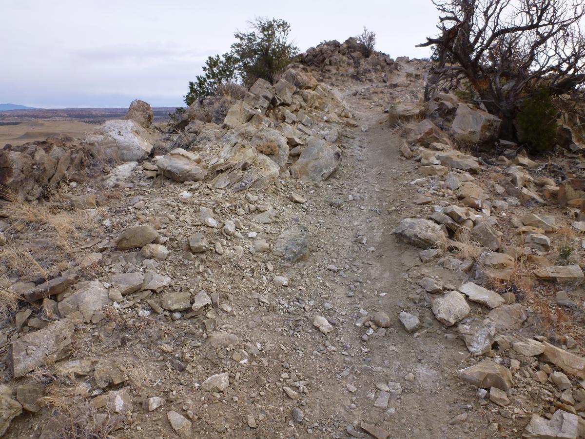 A rocky trail winding through a rugged landscape, with scattered stones and sparse vegetation on either side. The path appears narrow and uneven, leading towards a distant horizon under a cloudy sky. White Ridge Bike Trails mountain bike trail.