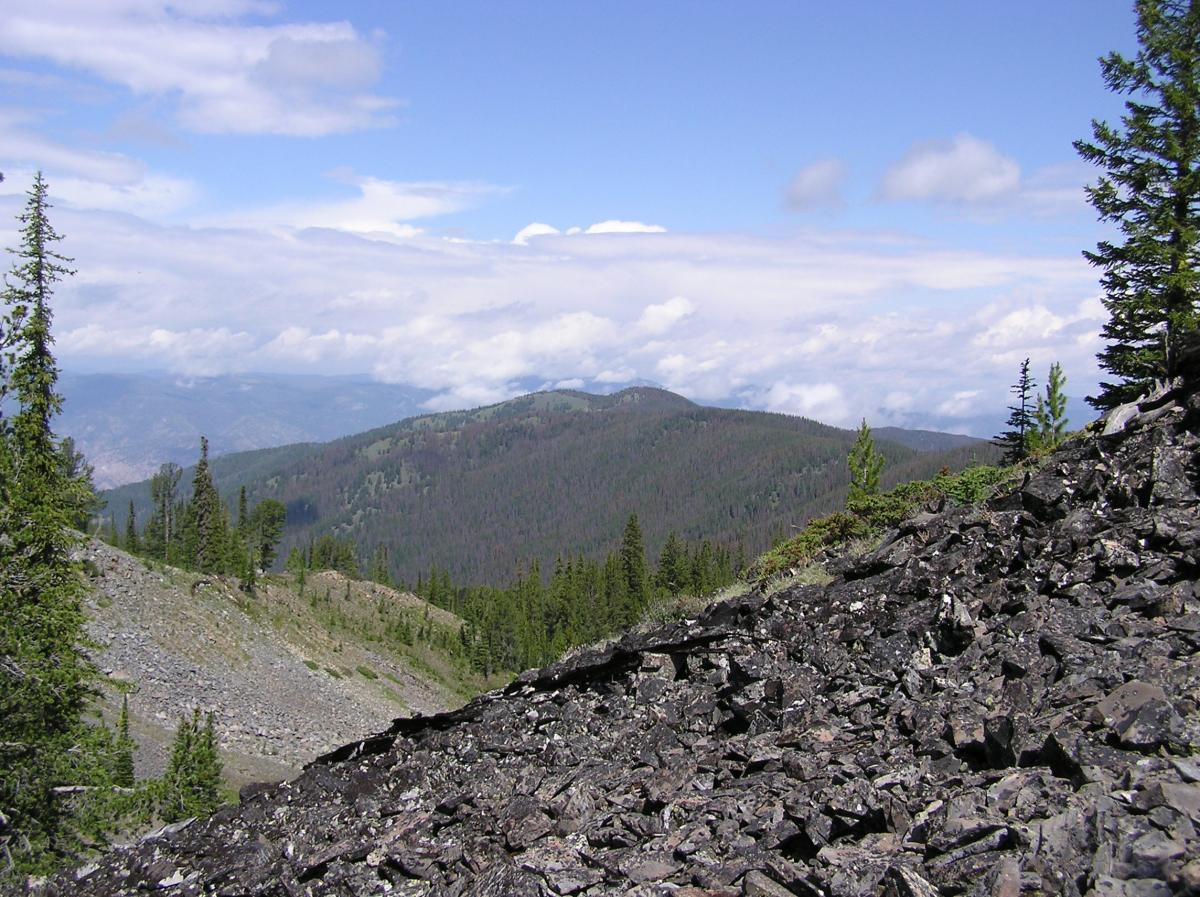 A scenic view of a mountainous landscape featuring rocky terrain in the foreground, with clusters of evergreen trees. In the background, rolling green hills extend towards the horizon under a partly cloudy blue sky. Haystack/Stormy/Virginia/Shoup mountain bike trail.