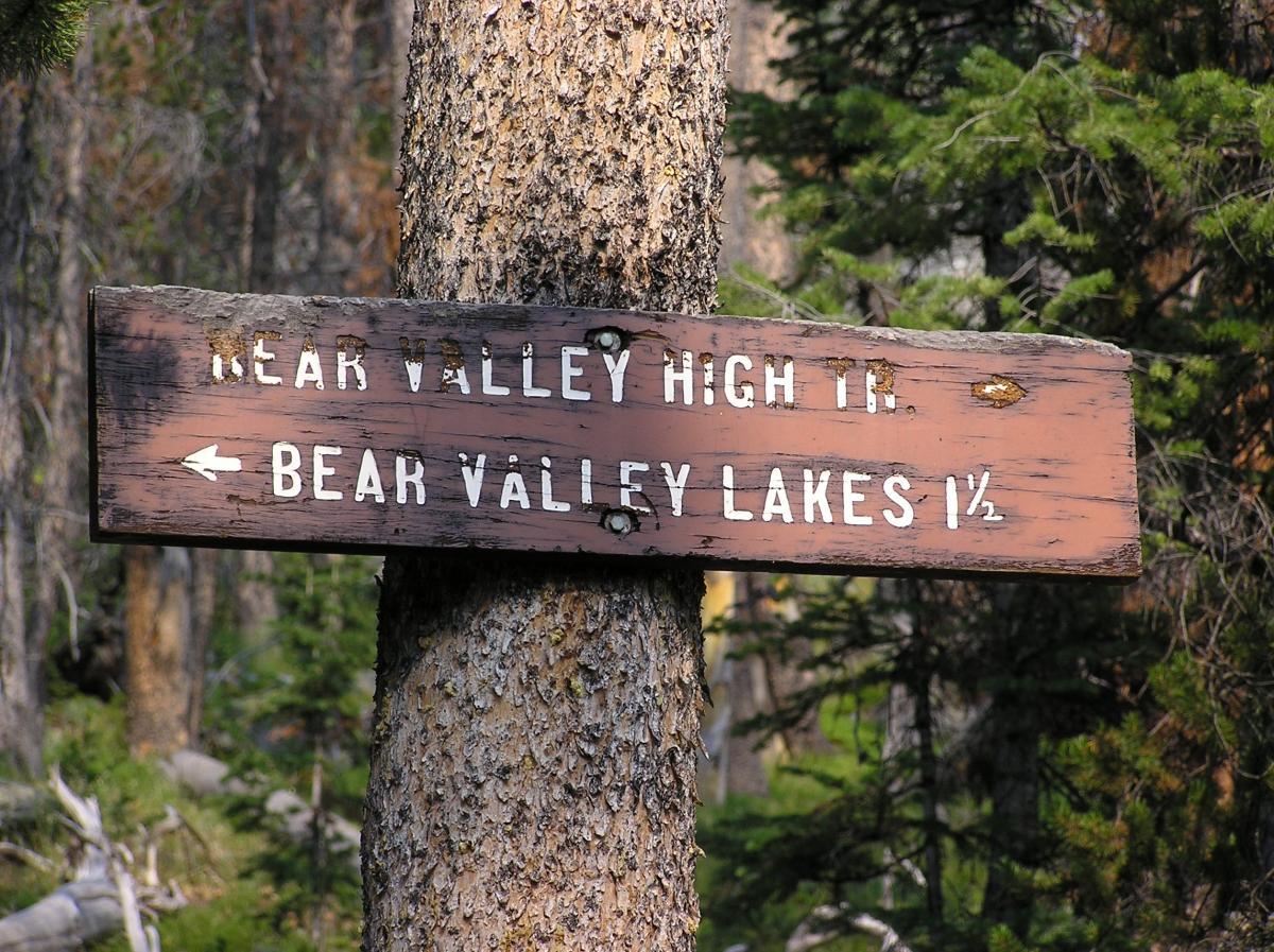 Wooden trail sign on a tree indicating directions to Bear Valley High Trail and Bear Valley Lakes, with arrows pointing left and right. The background features a forested area with trees. Bear Valley Lakes mountain bike trail.