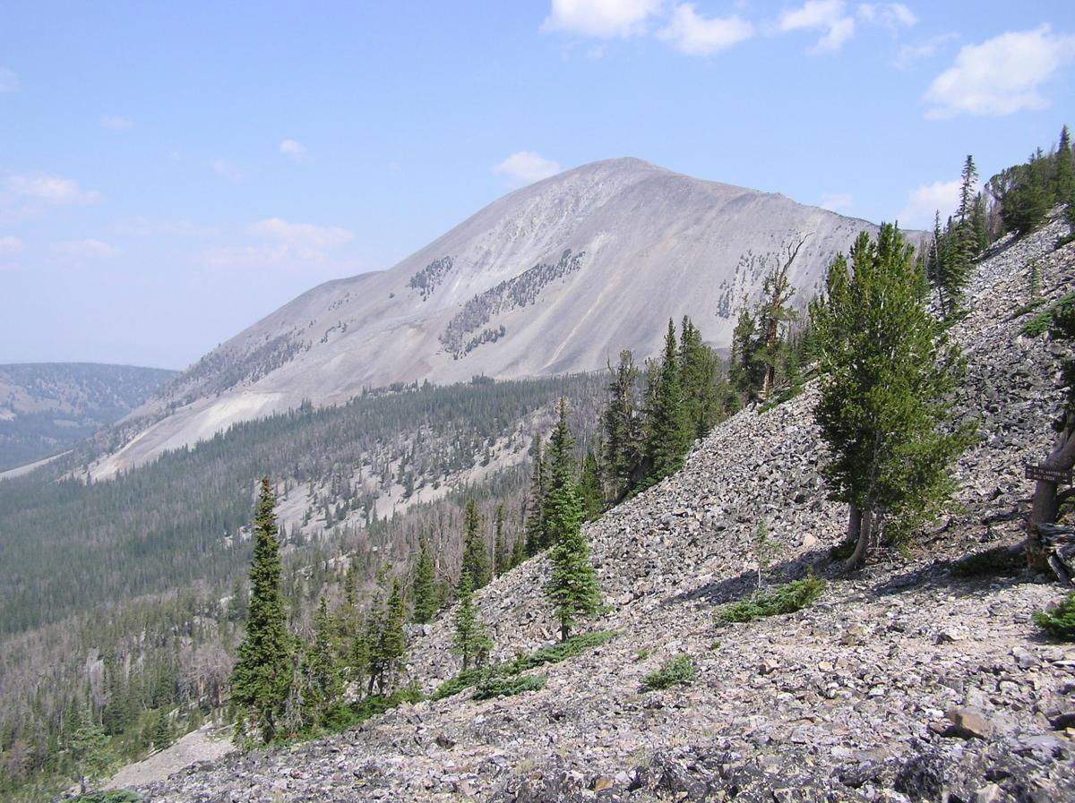 A scenic view of a mountainous landscape featuring a prominent, gently sloping peak in the background, surrounded by a mix of rocky terrain and patches of evergreen trees in the foreground. The sky is partly cloudy, and the terrain showcases a blend of gray rocks and green vegetation. Mill Cr.-East Fork Hayden Tr. 181 mountain bike trail.
