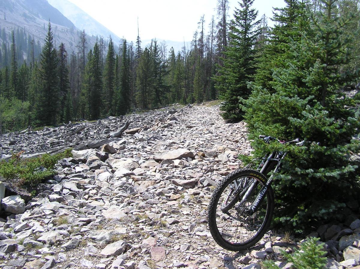  alt tag: A mountain bike leaned against a green shrub on a rocky trail surrounded by tall pine trees, with mountains visible in the background under a clear sky. Mill Cr.-East Fork Hayden Tr. 181 mountain bike trail.