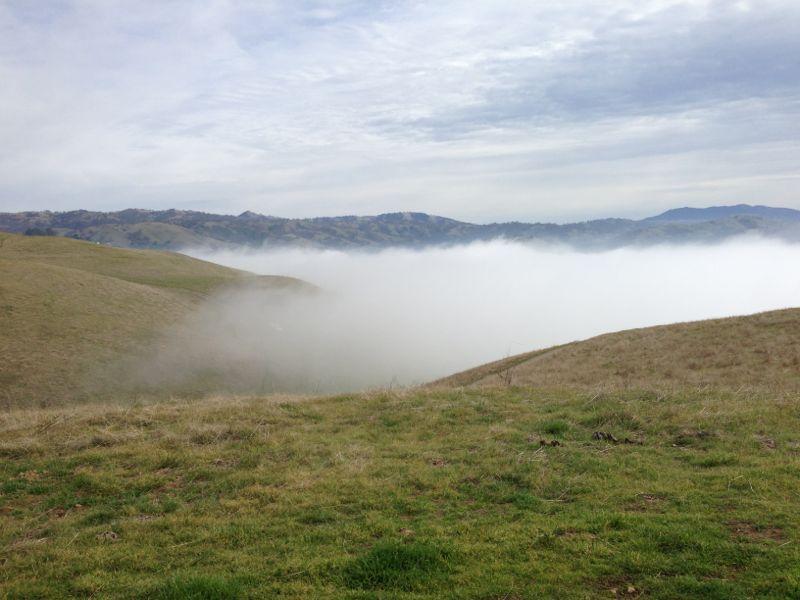 A serene landscape view showing rolling green hills beneath a cloudy sky, with a thick blanket of fog covering the valley below. The scene is tranquil and evokes a sense of calmness and nature&rsquo;s beauty. Alum Rock County Park mountain bike trail.