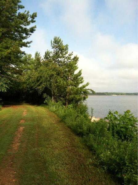 A peaceful lakeside scene featuring a dirt path lined with trees and greenery, leading to a calm body of water. The sky is partly cloudy, creating a serene atmosphere in a natural setting. Lakeside Trail mountain bike trail.