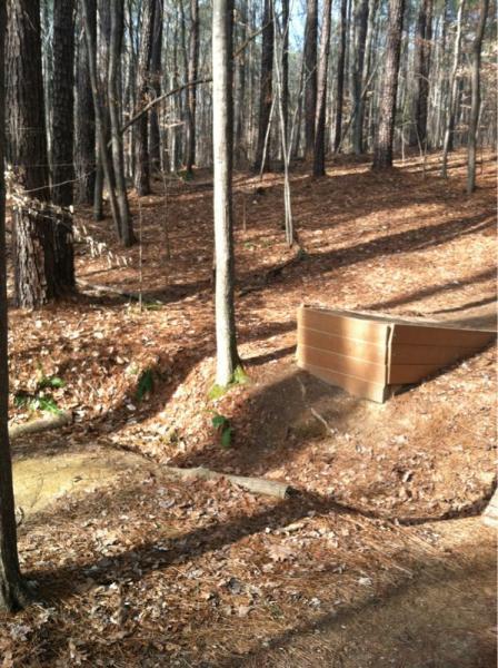 A forested area with tall trees and a carpet of brown leaves covering the ground. In the foreground, there is a wooden ramp leading up from a path, set against a backdrop of a trail winding through the trees. The scene is illuminated by sunlight filtering through the branches. Lake Crabtree County Park mountain bike trail.