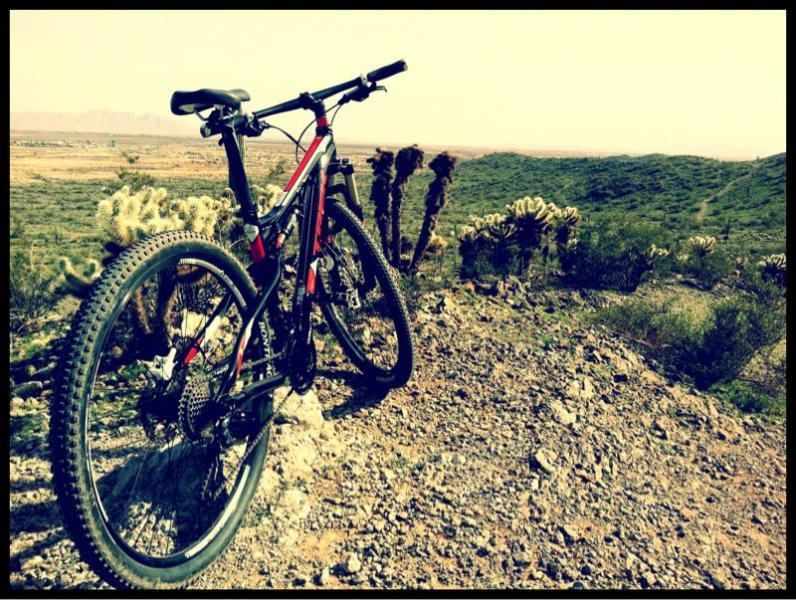 A mountain bike rests on rocky terrain with a desert landscape in the background, featuring cacti and rolling hills under a clear sky. Casa Grande Mountain mountain bike trail.