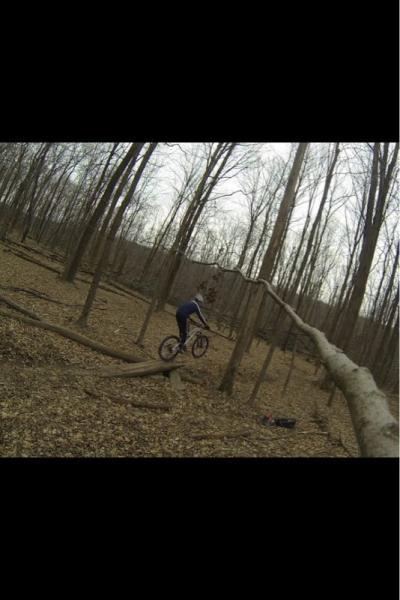 A mountain biker skillfully rides along a fallen tree trunk in a wooded area, surrounded by tall, bare trees. The scene captures the adventurous spirit of outdoor biking, with leaves scattered on the ground and a sense of motion as the biker navigates the terrain. High Rocks mountain bike trail.