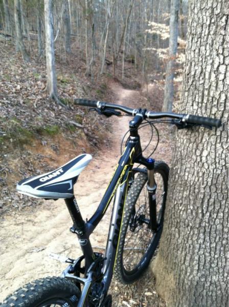 A mountain bike leaning against a tree on a dirt trail in a wooded area, with a winding path visible in the background. Lake Crabtree County Park mountain bike trail.