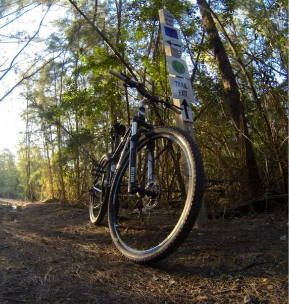 A mountain bike leaning against a trail sign in a wooded area, with sunlight filtering through the trees. The sign indicates the direction of the trail exit. Oleta River State Park mountain bike trail.