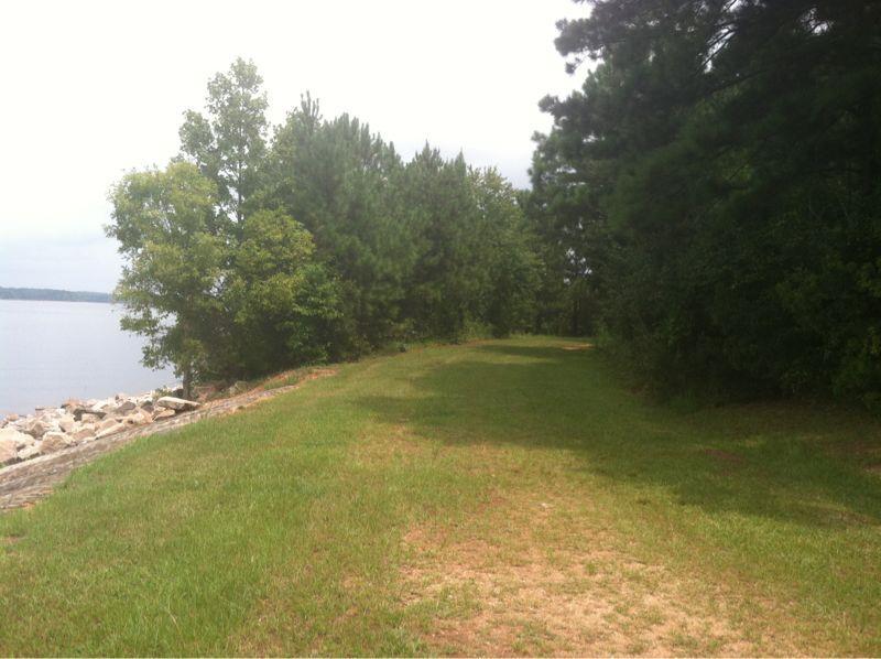 A scenic pathway lined with greenery leading towards a calm lake, featuring a mix of grassy areas and trees on either side, under a partly cloudy sky. Lakeside Trail mountain bike trail.