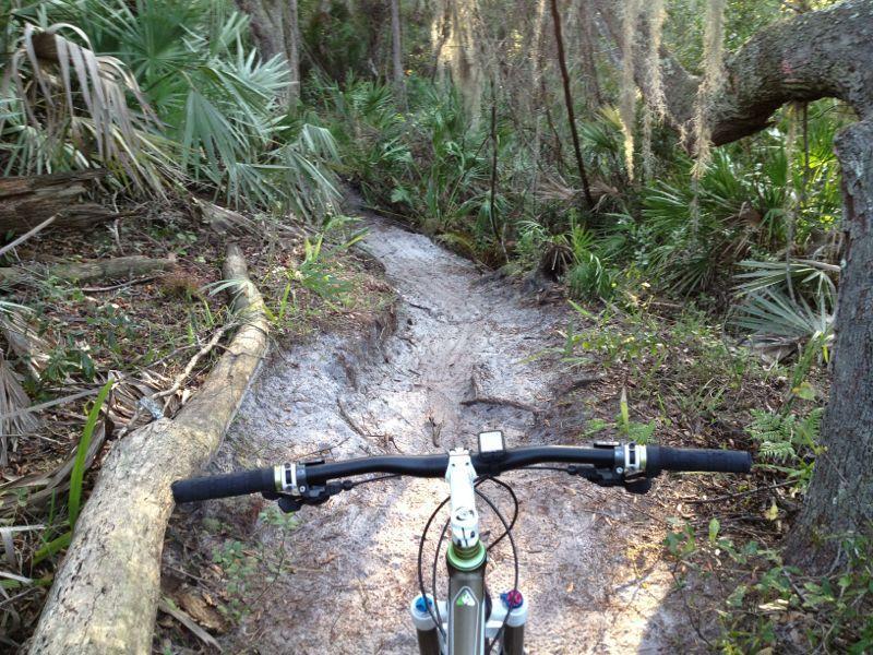 View from the handlebars of a mountain bike on a narrow, winding dirt trail surrounded by lush greenery and trees. The path is slightly muddy, indicating recent rainfall, with patches of sunlight filtering through the foliage. Turkey Creek mountain bike trail.