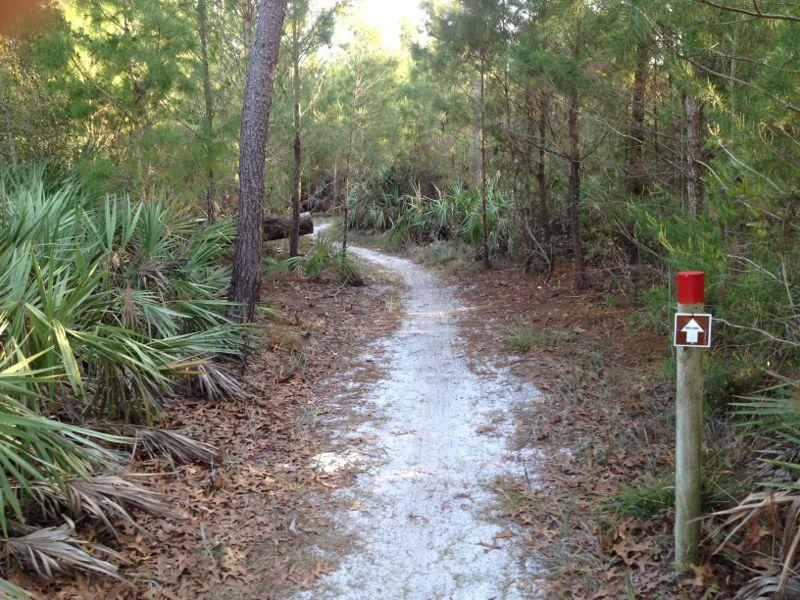 A winding dirt path through a wooded area, flanked by tall green shrubs and trees. A post with a red top and a directional arrow is visible on the right side of the path, indicating the way forward. Light filters through the foliage, creating a serene and natural atmosphere. Turkey Creek mountain bike trail.