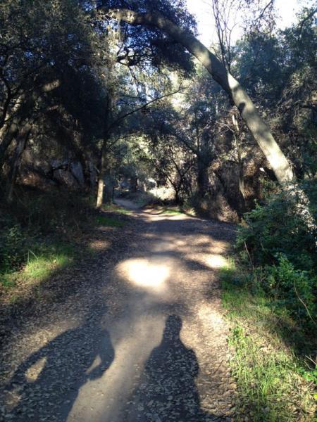 A peaceful trail winding through a shaded forest, with sunlight filtering through the trees. The path is lined with fallen leaves, and the silhouettes of two people can be seen walking along the trail. The scene evokes a sense of tranquility and nature. Marshall Canyon Park mountain bike trail.