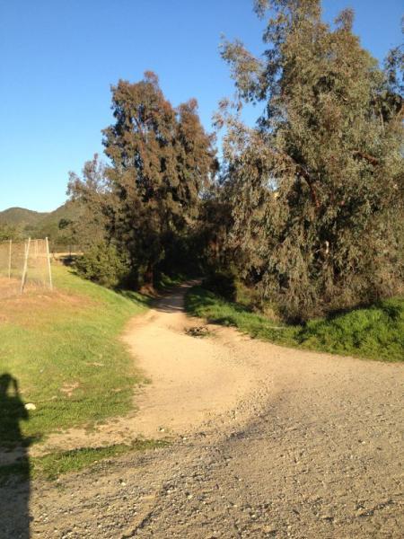 A dirt path winding through a peaceful landscape, bordered by tall trees and greenery under a clear blue sky. Marshall Canyon Park mountain bike trail.