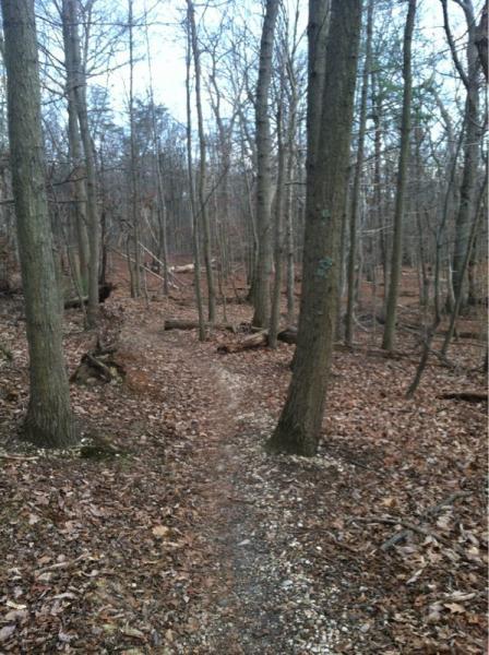 A narrow dirt path winding through a forest with bare trees and scattered brown leaves on the ground. The scene is tranquil and suggests a cool, early spring or late fall atmosphere. Fairland Recreational Park mountain bike trail.