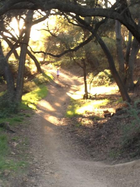 A gravel path winding through a wooded area, illuminated by warm sunlight filtering through the trees. A person is walking ahead on the trail, surrounded by lush greenery and a serene, natural landscape. Marshall Canyon Park mountain bike trail.
