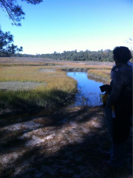A person standing on the bank of a tranquil river, gazing across a scenic marshland filled with tall grass and surrounded by trees under a clear blue sky. Moses Creek mountain bike trail.