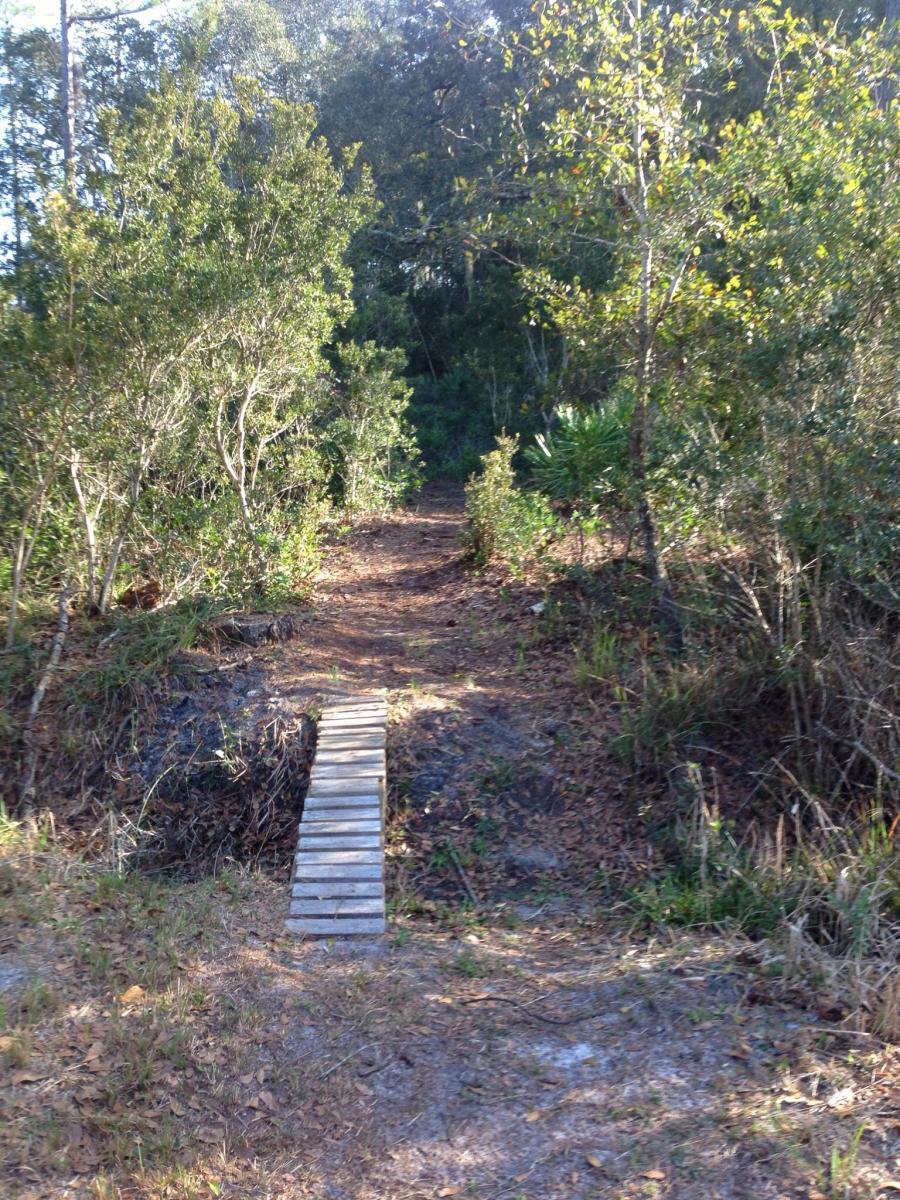 A narrow dirt pathway surrounded by dense greenery, leading to a wooden footbridge that crosses a small gap. Sunlight filters through the trees, creating a natural, tranquil atmosphere. Nocatee mountain bike trail.