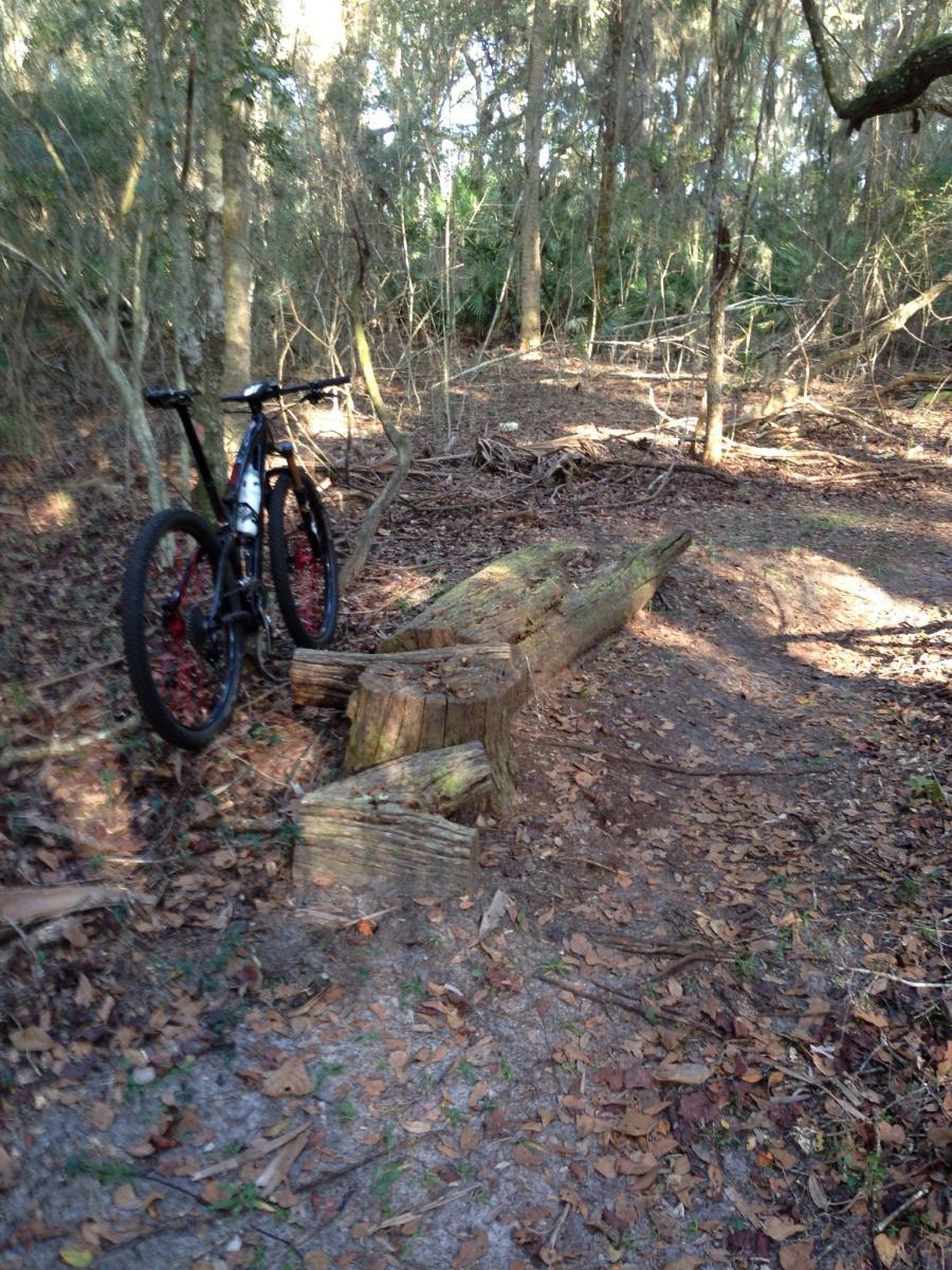 A mountain bike leaning against a fallen log on a dirt path in a wooded area, surrounded by trees and scattered leaves. The sunlight filters through the foliage, creating a serene outdoor scene. Nocatee mountain bike trail.