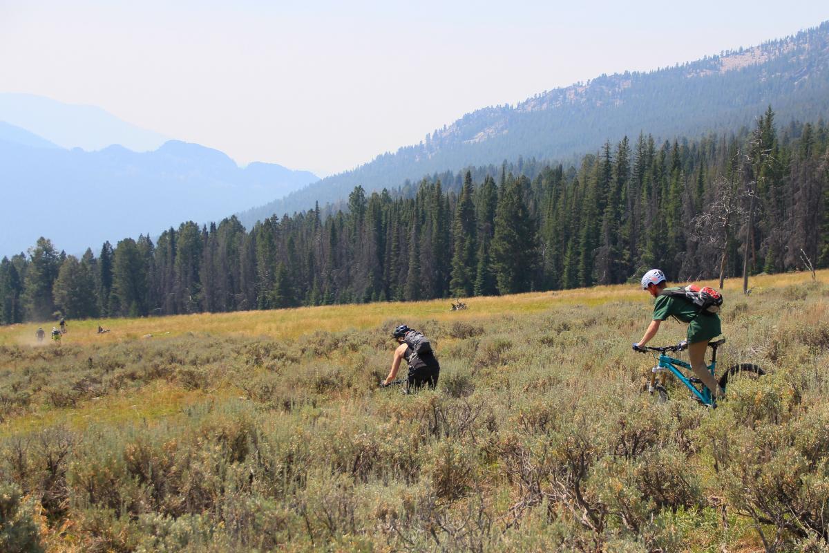 A pair of mountain bikers riding through a grassy field surrounded by dense trees and mountains in the background on a sunny day. Dust is kicked up from the ground as they navigate the terrain. 12 Mile To Lime Creek mountain bike trail.