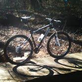 Rocky Mountain Vertex 990 rsl 2013: A mountain bike resting on a wooden surface, surrounded by fallen leaves and natural foliage. The bike is angled to capture the sunlight, creating distinct shadows on the ground.